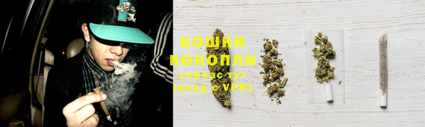 гидра Карталы