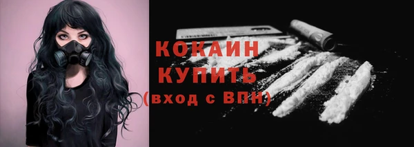 гидра Карталы