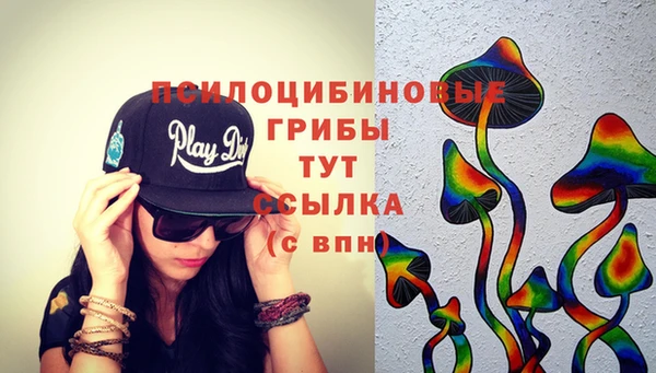 гидра Карталы
