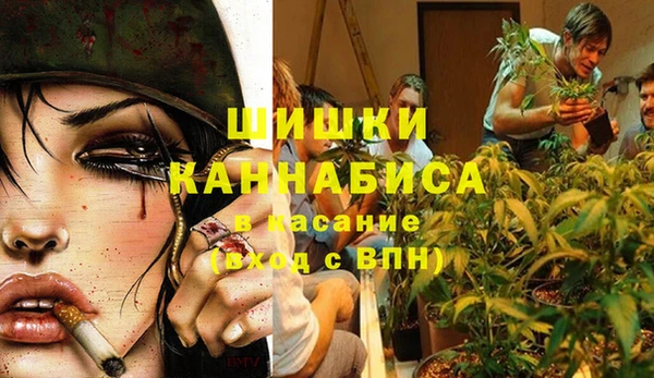 mix Касимов