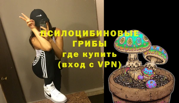 гидра Карталы