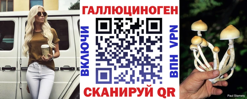 Галлюциногенные грибы Psilocybe купить наркотик Холм